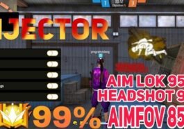 Pengertian, Fungsi dan Resiko Penggunaan