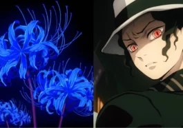 Bunga Spider Lily Biru, Tanaman yang Selalu Dicari Muzan