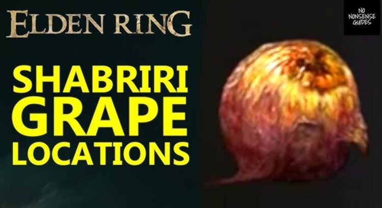 Fingerprint Grape Elden Ring: Lokasi & Kegunaannya!