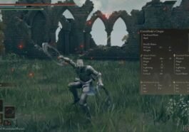 Ini cara Menggunakan Dua Senjata Sekaligus di Elden Ring