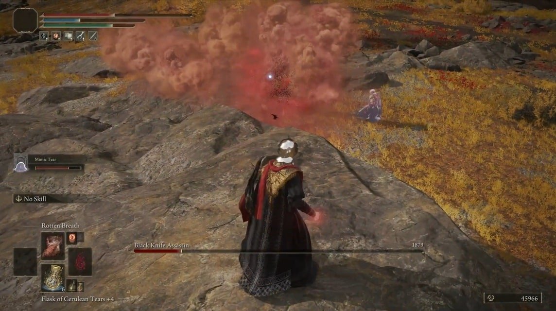 Black Knife Assassin Elden Ring