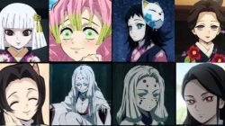 Top 5 Karakter Demon Slayer Perempuan Terkuat