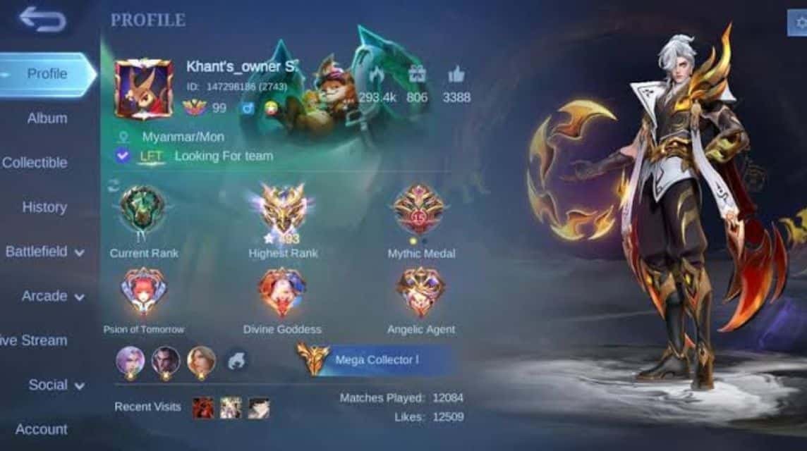 Profile Mobile Legends