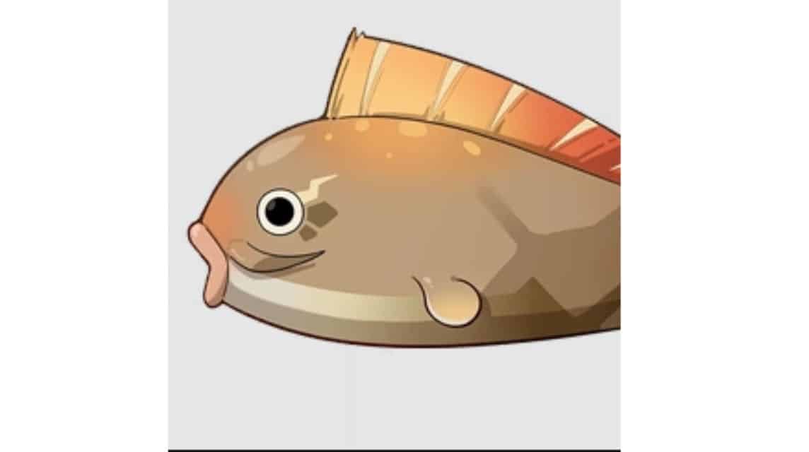 lokasi pufferfish di genshin impact