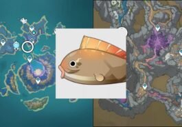 Lokasi Pufferfish Genshin Impact, Tangkap Sekarang!