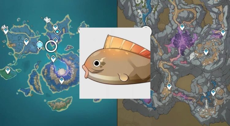 Lokasi Pufferfish Genshin Impact, Tangkap Sekarang!
