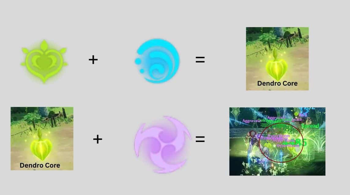 mekanisme hyperbloom