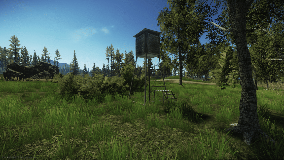 Escape From Tarkov Steady Signal