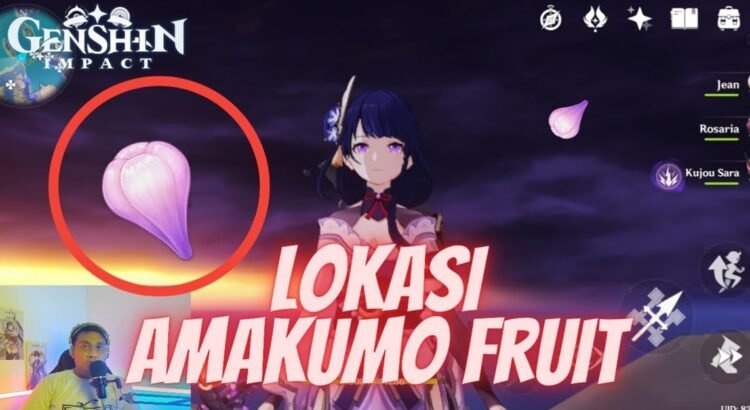 Lokasi Buah Amakumo di Genshin Impact, Cek Lokasi Disini