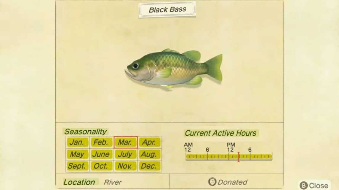 Daftar ikan ACNH - Black Bass