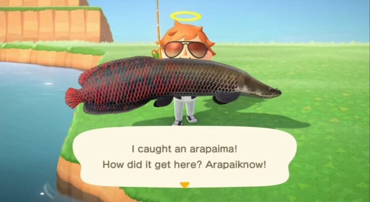 Daftar Ikan, Harga, dan Cara Memancing