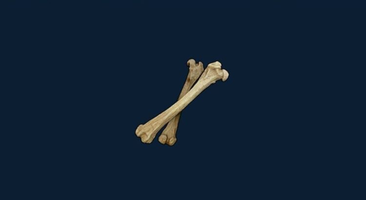 Cara Mendapatkan Bone di Palworld