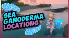 Lokasi Sea Ganoderma dan Rute Farming Tercepat