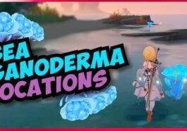 Lokasi Sea Ganoderma dan Rute Farming Tercepat