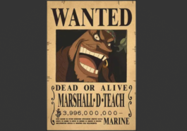 Bajak Laut Kurohige, Calon Musuh Terakhir Luffy?