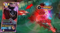 Berapa Maksimal Jumlah Serangan Ultimate Hayabusa?