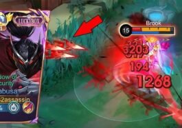 Berapa Maksimal Jumlah Serangan Ultimate Hayabusa?