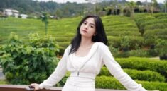 Profil dan Fakta Menarik dari BTR Citra