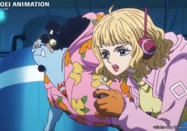 Fakta Menarik Stussy One Piece, Kloningan Miss Buckin