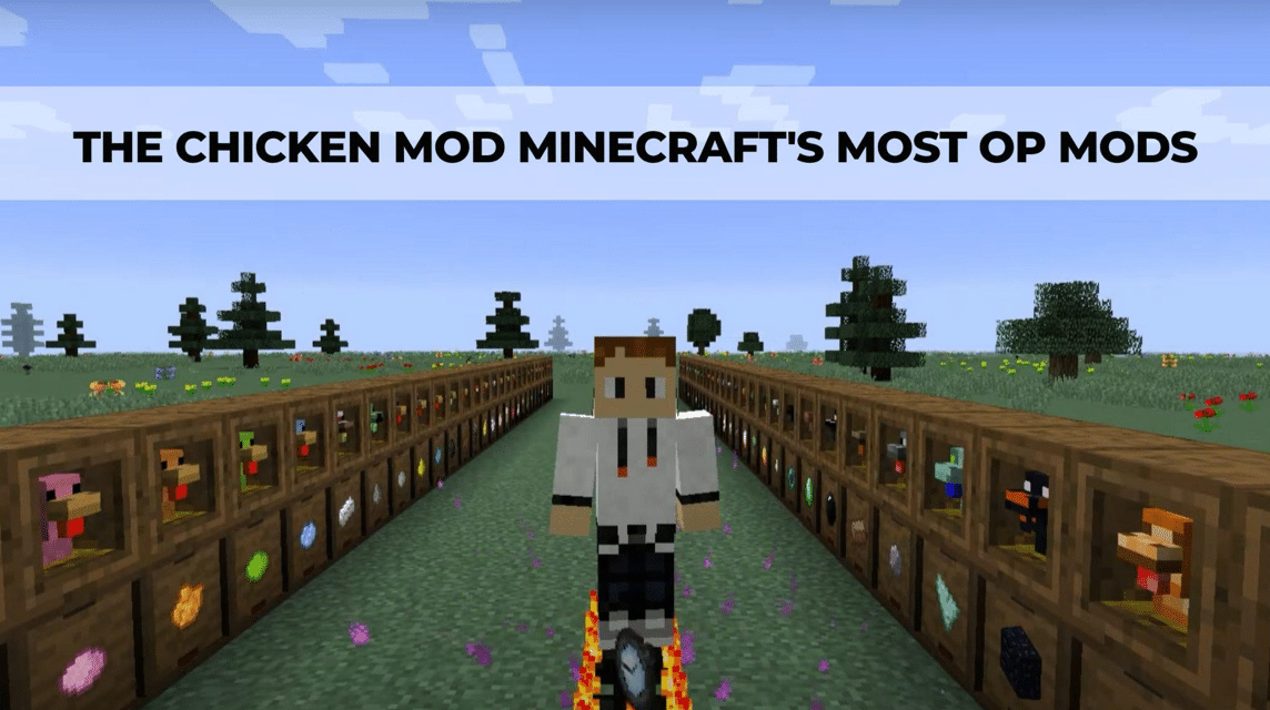 Mod Chicken