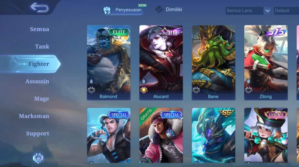 berbagai macam role ml