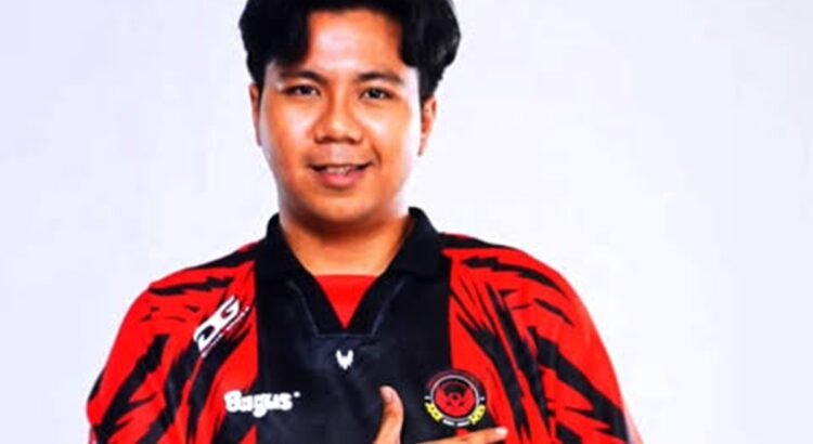 Profil, Biodata dan Perjalanan Karier