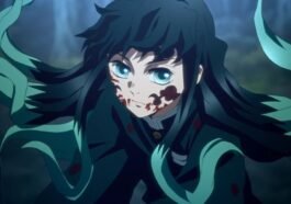 5 Fakta Menarik Muichiro Tokito Demon Slayer