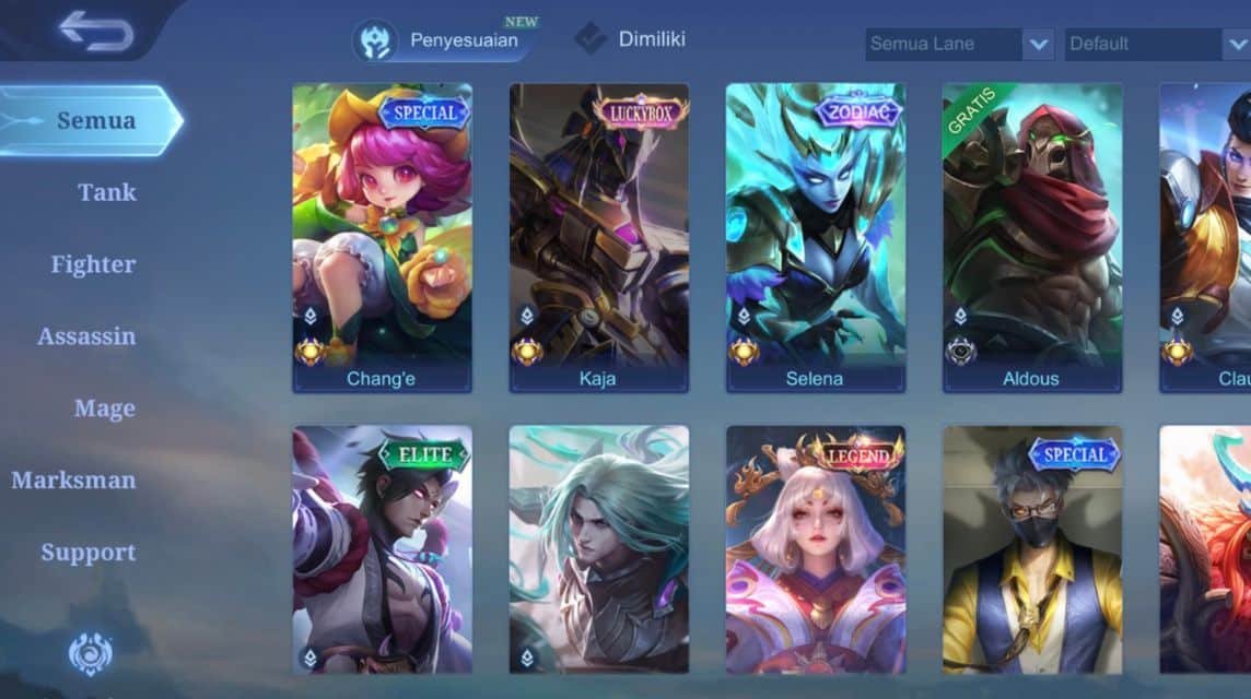 berbagai macam role ml