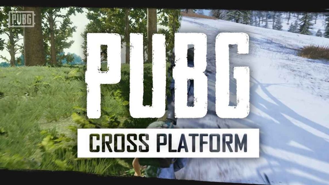 apakah PUBG cross platform