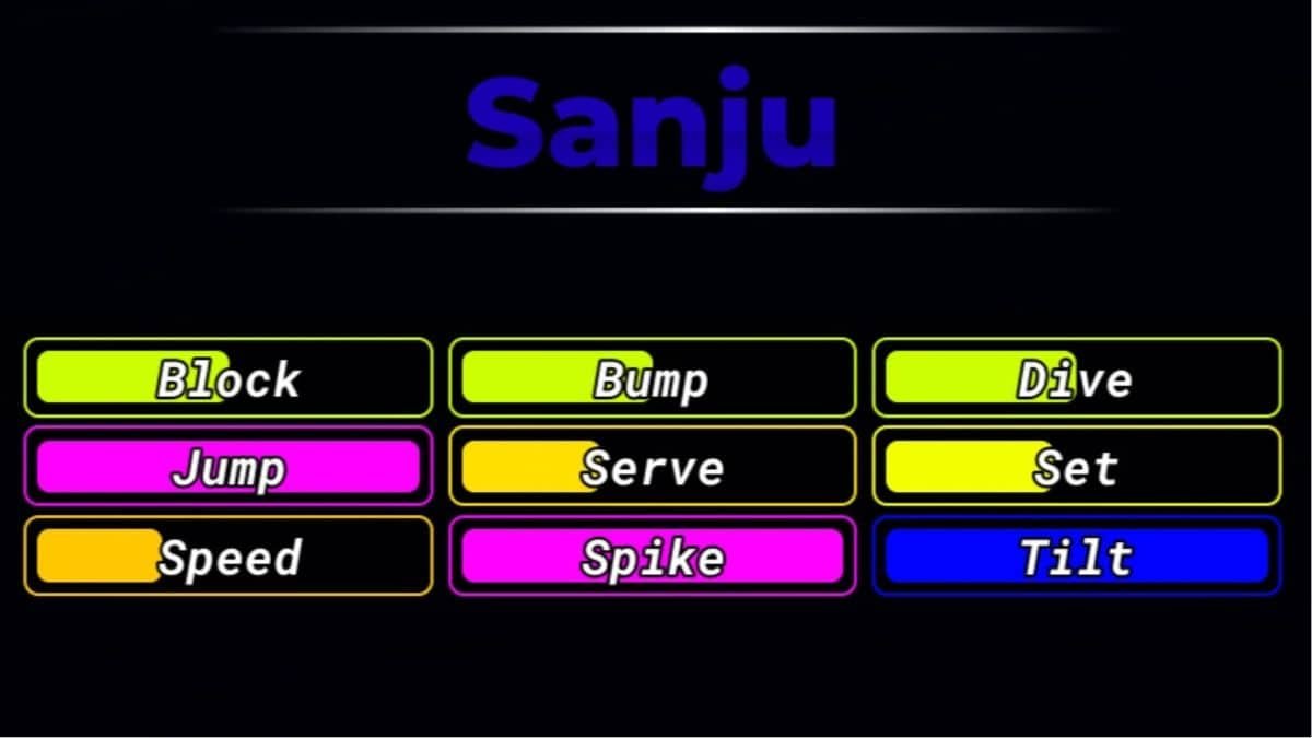 Sanju Volleyball Legends