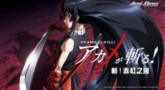 Banyak Ditunggu, Apakah Akan Ada Akame Ga Kill Season 2?