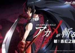 Banyak Ditunggu, Apakah Akan Ada Akame Ga Kill Season 2?