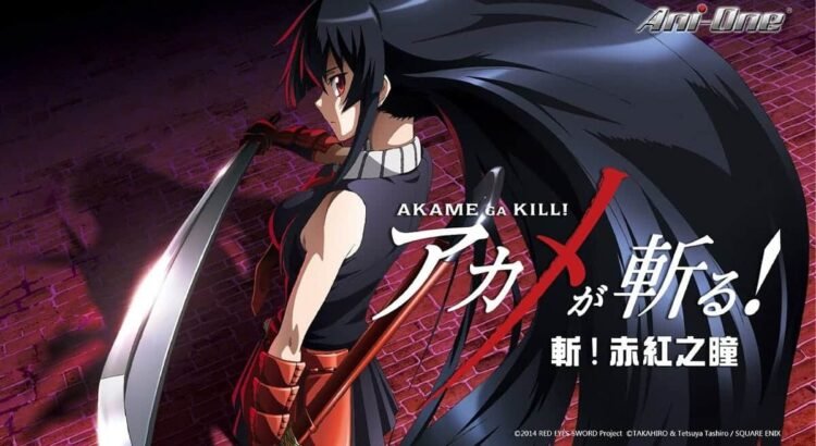 Banyak Ditunggu, Apakah Akan Ada Akame Ga Kill Season 2?